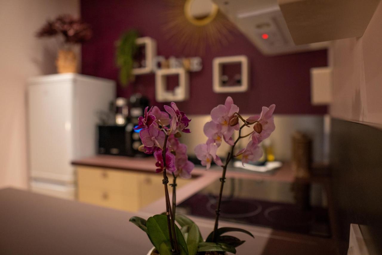 Studio Coeur De Ville Sanary Tres Cosy Parking Zewnętrze zdjęcie